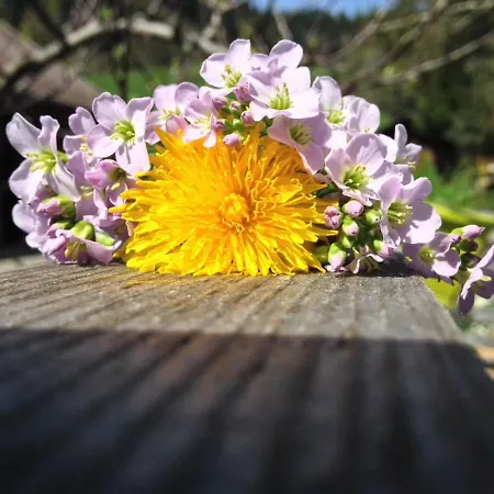 Wertvollholzhaus * Schwarzenberg im Bregenzerwald