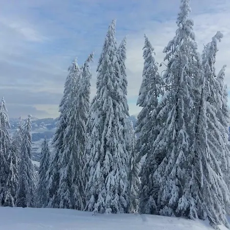Διαμέρισμα Wertvollholzhaus *
